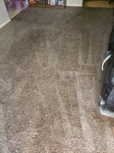 edwardsville il and st louis mo steam cleaners - jlees carpet and floors steam cleaners