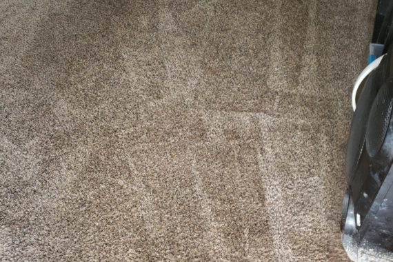 jlees carpet and floor steamers cleaners Edwardsville il and st louis mo