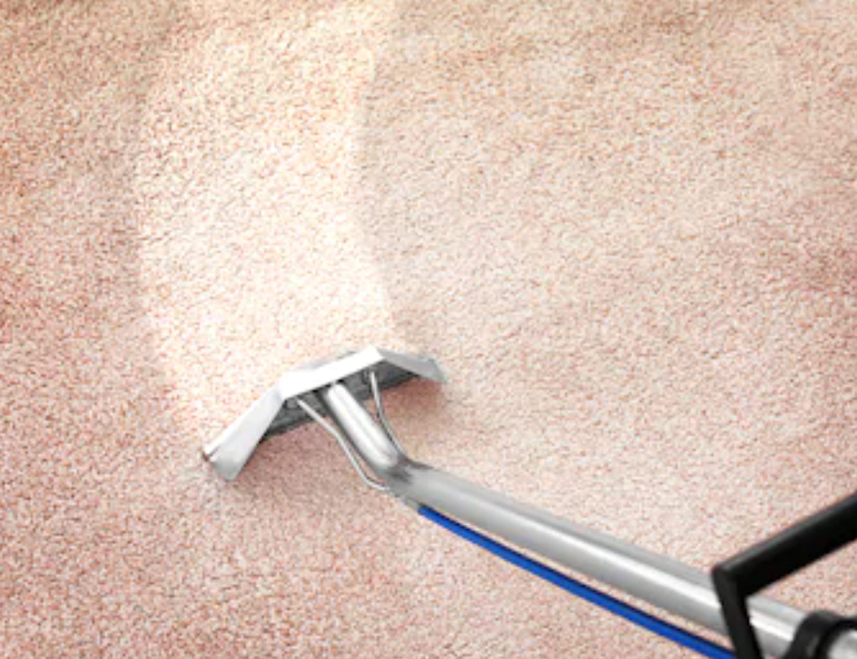 How Professional Carpet Cleaning Can Save Your Business Money JLee's