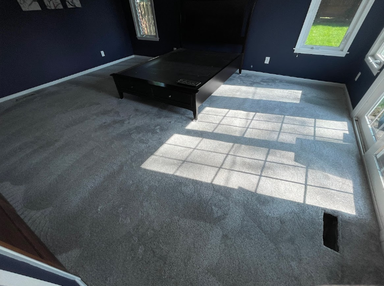 Photo of clean carpet from Jlees carpet and floors of St Louis MO